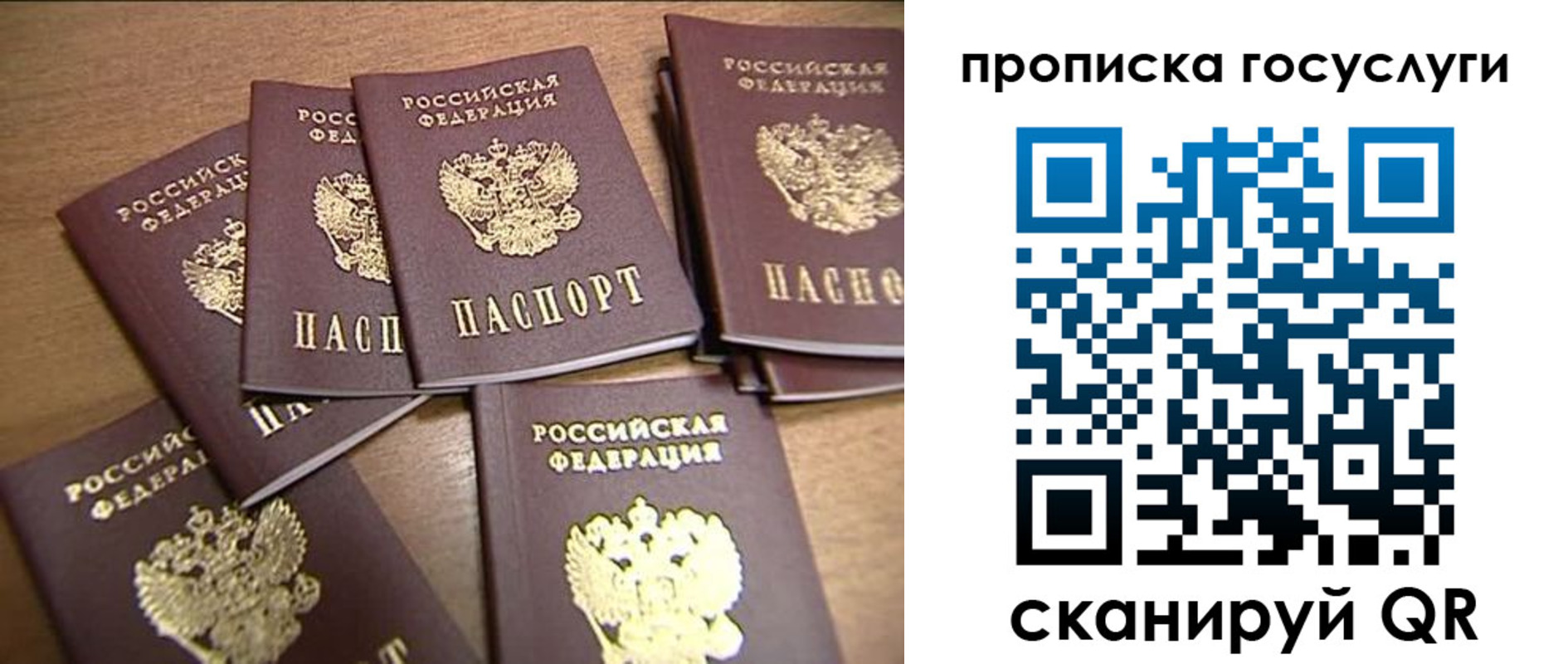 прописка для работы в Луге
